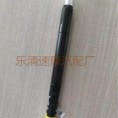 汽车配件共轨/燃油喷油嘴 R02601D