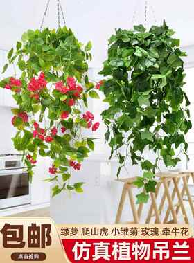 彷真植物壁挂假花藤条藤蔓绿植吊兰室内吊顶垂吊装饰塑料绿萝吊篮