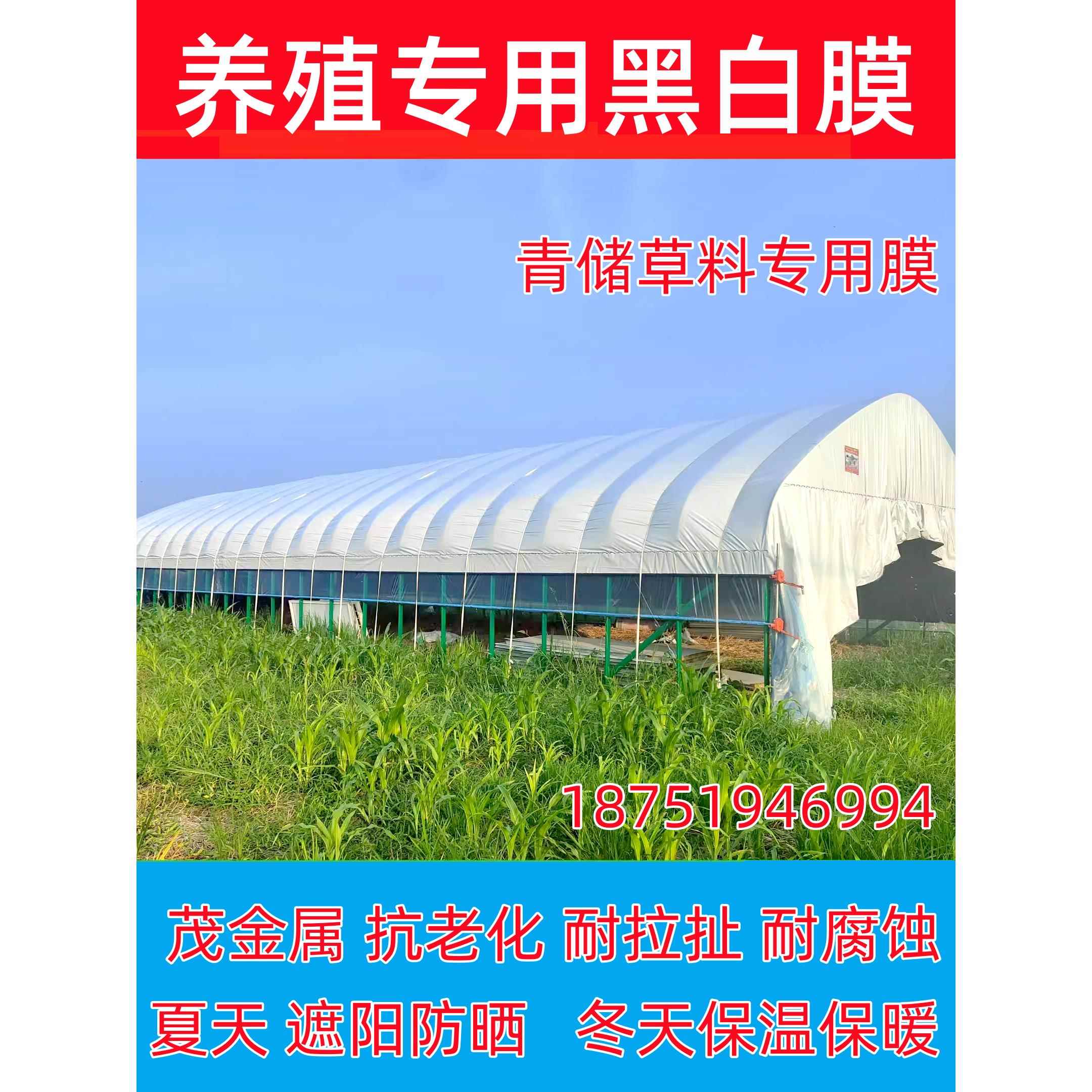 黑白膜加厚防晒青储黑白膜降温隔热反光青储防渗加厚养殖专用棚膜