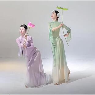 采莲舞蹈服装 古典舞纱衣练功服艺考入莲间表演服 成人舞台飘逸套装