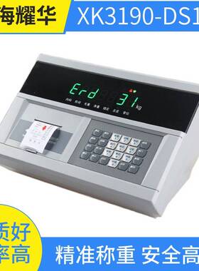 数字物联网称重仪表耀华XK190-DS10+P带打印地磅称重控制器meter