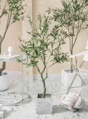 仿室真内植物盆栽仿生植假绿植摆件仿真橄榄树假树tb-66404客厅室