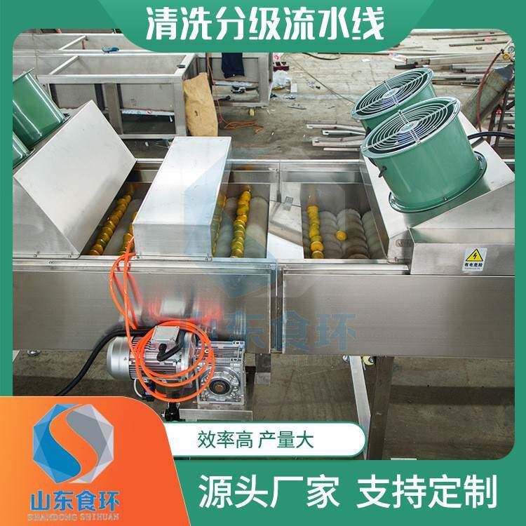 土豆红薯分级机 樱桃沃柑小橘子清洗分级流水线 清洗分选机