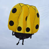 软体风筝瓢虫风筝初学者个性 风筝微风易飞初学者潍坊高档专业风筝