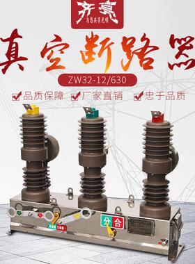 10KV户外高压真空断路器ZW32-12/630柱上分界开关手动不带隔离
