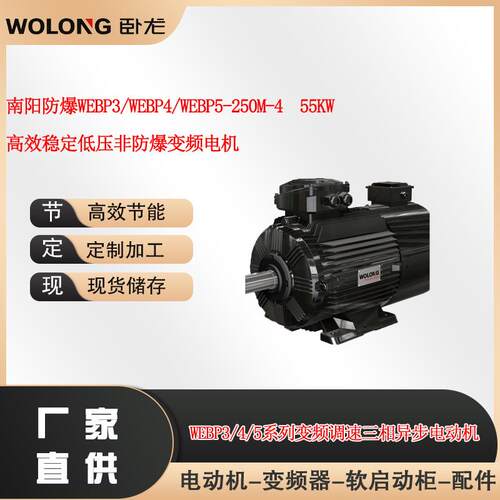 南阳WEBP3/WEBP4/WEBP5-250M-455W高效稳定非防爆变频电机