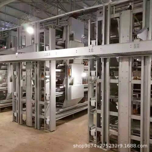 自动化蛋鸡饲养设备养鸡场龙门式喂料机养鸡厂喂饲料设备