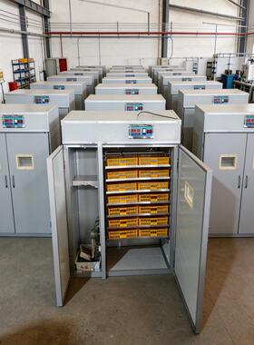 全自动孵化机 家用小型双室孵化出雏一体侧风扇智能家禽孵蛋器