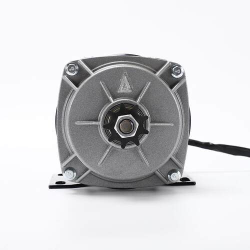 购48V005W有直刷直流减速电机低WGR噪电动机音永磁中置电机