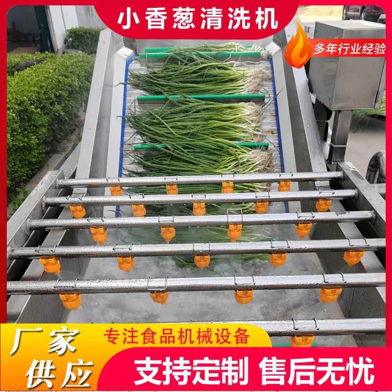 商用西蓝花去农残气泡清洗机多功能鱼皮气泡清洗线海带清洗机设备