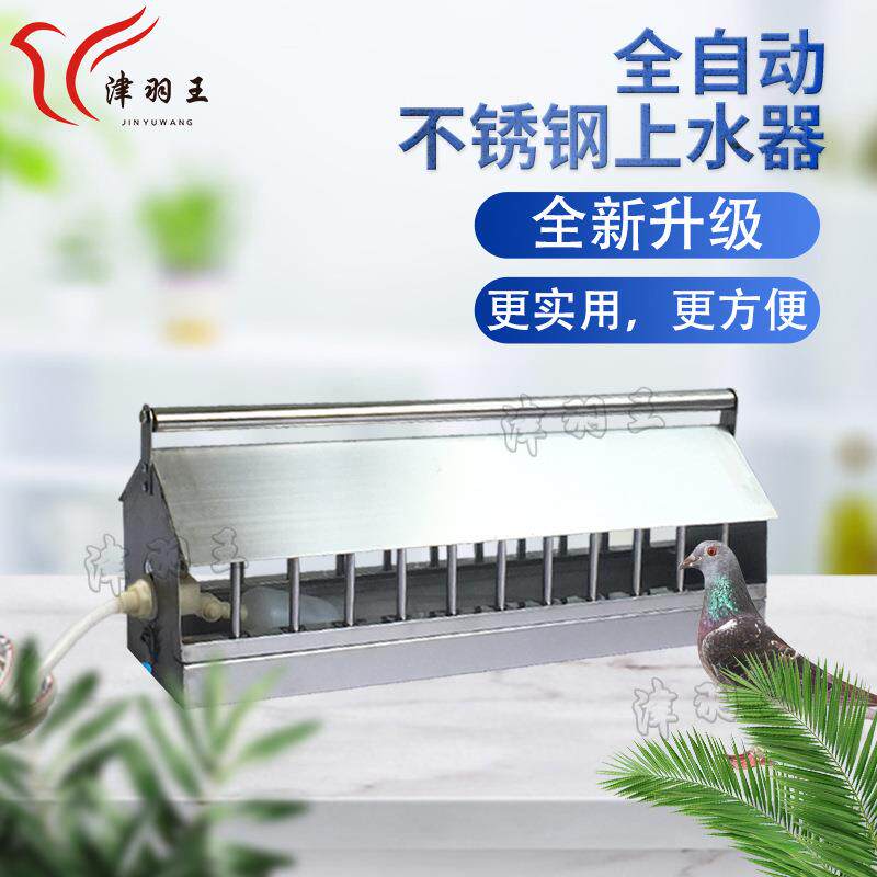 津羽王鸽具 鸽子用品不锈钢全自动饮水器喂水器鸡鸭饮水自动上水