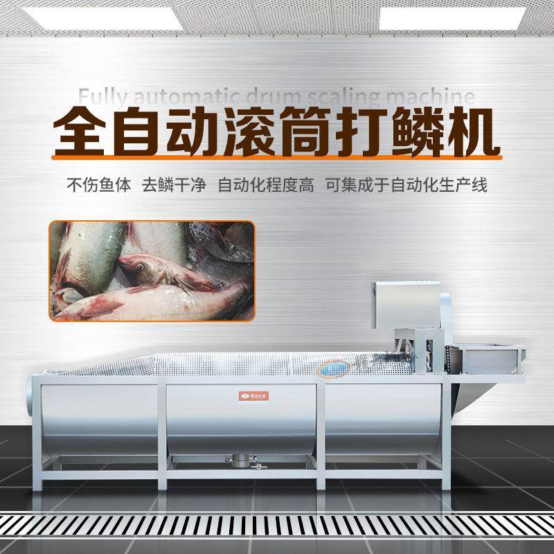 全自动滚筒打鳞机不伤鱼体去鳞干净自动化程度可集成于自动化生