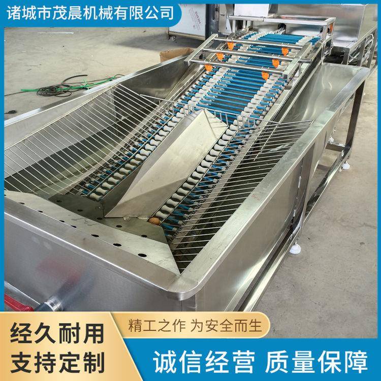 鹌鹑蛋清洗机 商用洗蛋机厂家鸭蛋清洗机价格 鹅蛋鸡蛋清洗流水线