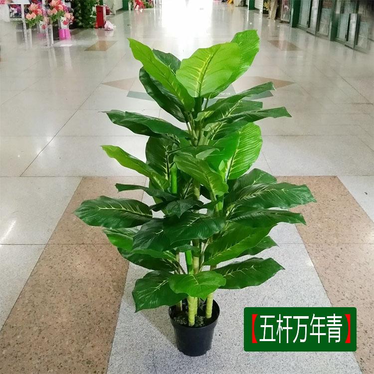 厂家绿仿真万年青钻树盆景内绿植盆栽塑料室酒陈列装-店饰摆件