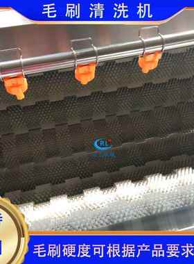 全清动毛土豆清洗机自毛刷南姜番薯洗设备小型马铃薯清洗ENE刷机