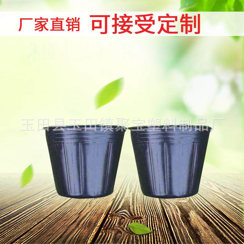 绿化工程用营养盆育苗营钵杯塑养料育苗营养钵盆盆家园艺种植厂花
