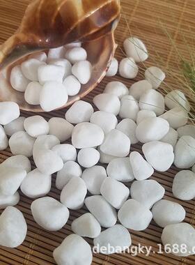 白色石米滤料水处理鹅卵石园林铺面雪花白石子