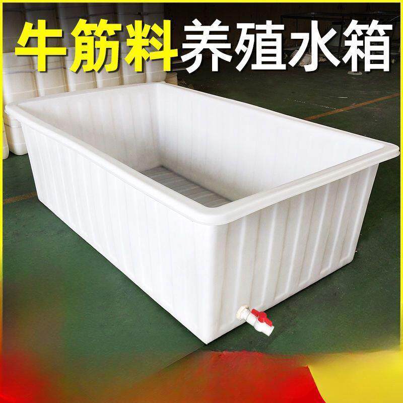 养殖牛筋水箱塑料加厚带排水大号养鱼龟储水带盖长方形泡瓷砖其他
