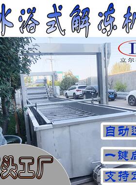 冷冻食品快速解冻设备大型海鲜化冻机气泡清洗机自动食品级