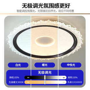 意式 中山灯具 轻奢卧室灯led吸顶灯现代简约温馨主卧房间灯2025款