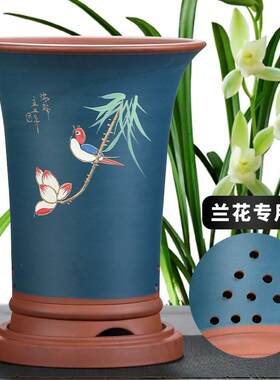 紫砂兰花盆墨兰惠兰蝴蝶兰君子兰陶瓷特大兰草大花特价高花盆包邮