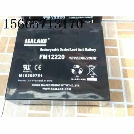 SEALKE海湖FM12220蓄电池光伏 直流屏机房UPS不间断电源12V22AH