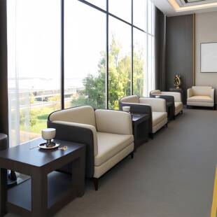 办公室接待会客单人沙发椅酒店会议室商务贵宾洽谈区沙发茶几组合