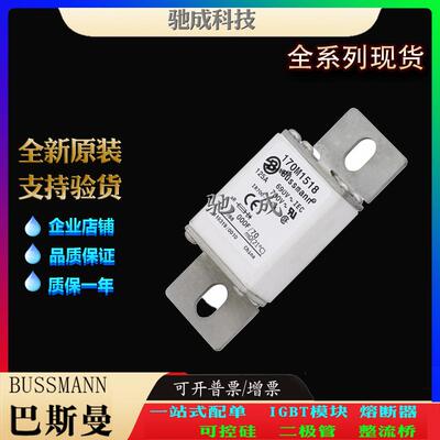 巴斯曼170M1535 170M1558 170M1559 现货直销零售 快熔保险丝