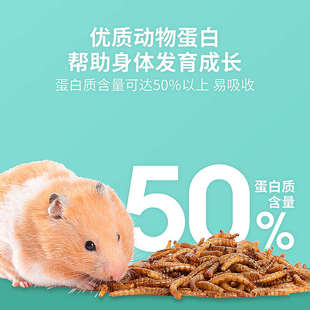 仓鼠粮食面包虫金丝熊零食蛋白黄粉虫干乌龟鹦鹉面包虫零食营养