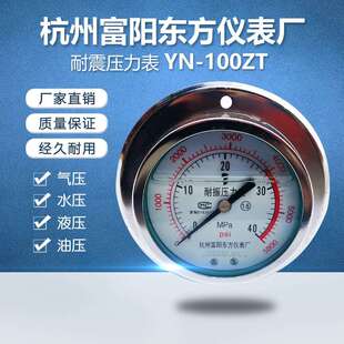杭州富阳东方YN100ZT轴向带边抗震耐震压力表水压油压气压表III型