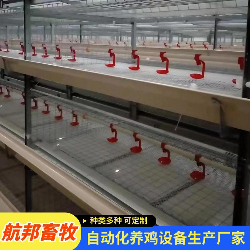 养殖框架笼厂家镀锌材质三层肉鸡笼全自动化肉鸡养殖设备厂家定制