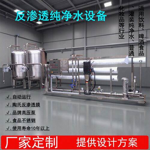 工业大型RO除盐纯净水设备全不锈钢 水处理厂家去离子水装置