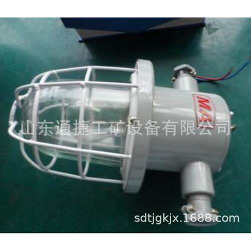 DGS60防爆白炽灯 DGS60防爆白炽灯 DGS-60原KBB系列隔爆型白炽灯