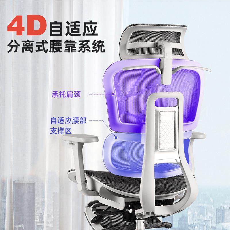 人体工学椅用子常规护腰脑椅家舒适久坐电竞椅电子男生可躺办公室