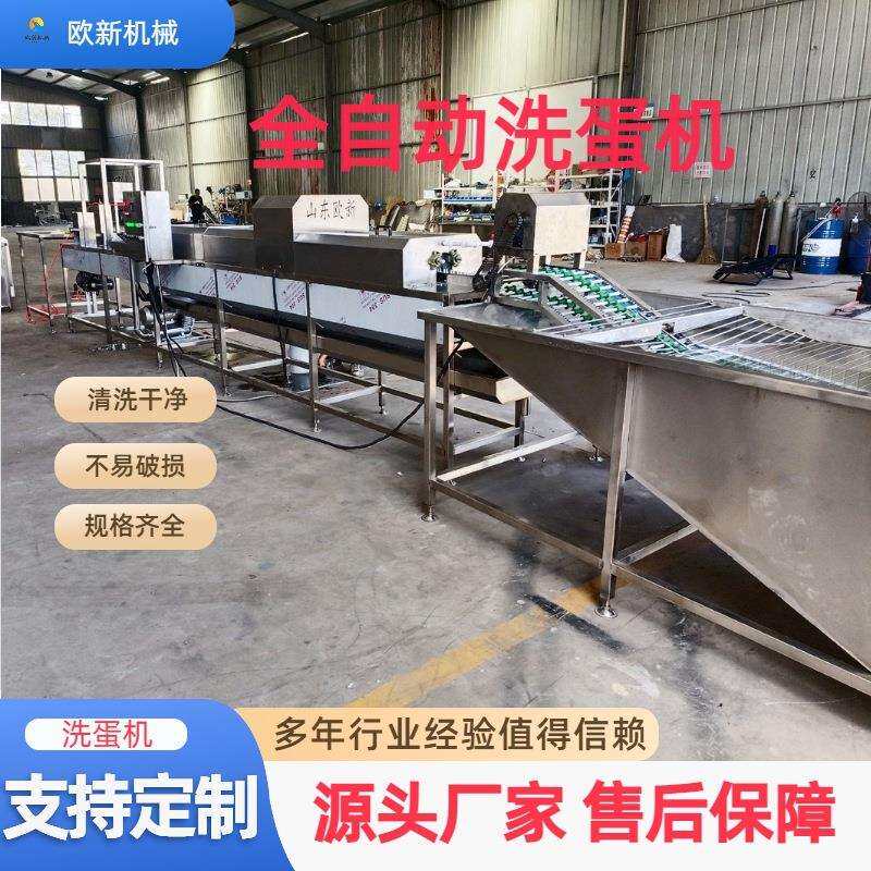 保洁蛋清洗去泥设备全自动皮蛋生产机器光检喷油保鲜全自动洗蛋机
