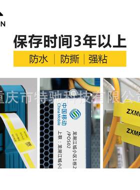 伟文wewin品胜标签纸VQS-02F线缆尾纤标签打印纸P30A标签盒P31A