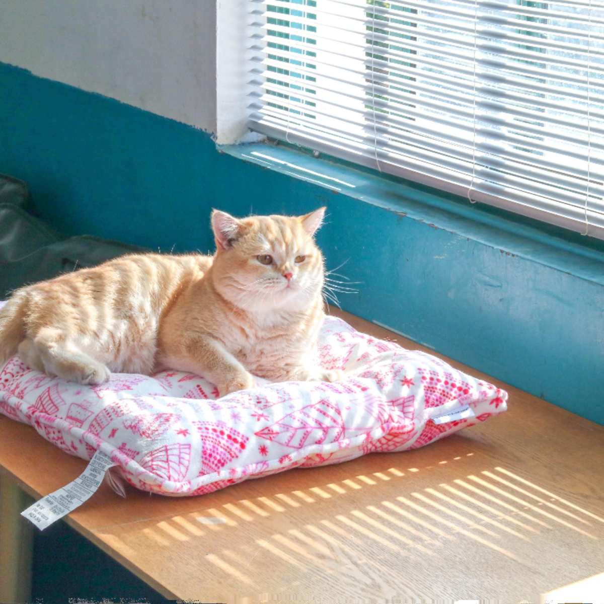 圣诞款猫窝猫垫子睡觉用冬季猫咪睡觉垫长形保暖窝垫宠物坐垫猫狗