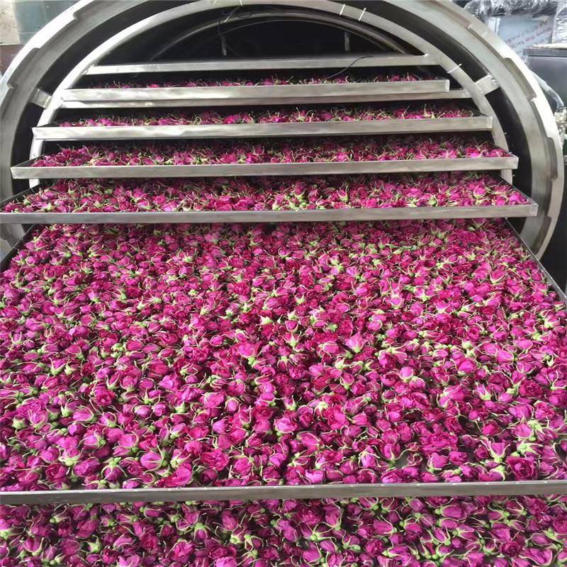 榴莲干芒果片真空冻干机菠萝蜜冻干机厂家低温冷冻干燥一体机