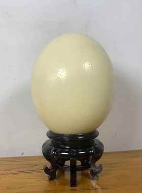 精选好品天然大号鸵鸟蛋空壳工艺品雕刻绘画 DIY原材料空蛋壳摆件