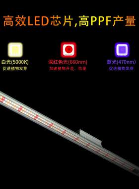 新品全光谱植物专用led灯条100w植物生长灯植物补光灯培育苗80w瓦