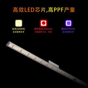 新品全光谱植物专用led灯条100w植物生长灯植物补光灯培育苗80w瓦