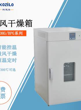 小型实验室烤箱电热恒温鼓风干燥箱300℃高温烘箱成都干燥设备
