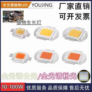 全光谱LED植物生长灯专业DIY 30W70W50W集成灯珠大功率水草族鱼缸