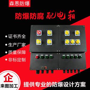防爆弱电箱防腐配电箱工程塑料照明配电柜动力三防操作厂家