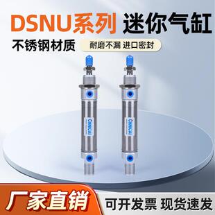 不锈钢圆形迷你气缸DSNU10/12/16/20/25/32/40-25-50-75-100-PPVA
