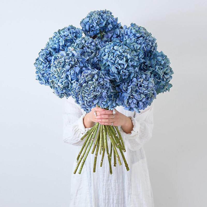 久伴天然绣球干 干燥花永生花花束真花插花客厅桌面装饰摆饰侘寂