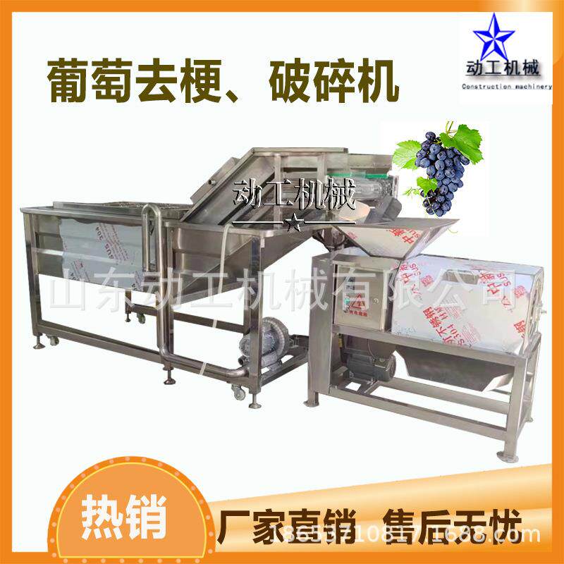 转筒式葡去摘梗破碎一体机备萄商用JBQ桑葚梗机阳光玫瑰脱设梗机