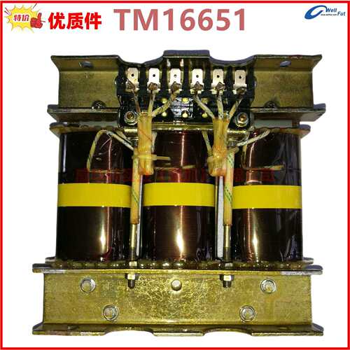 1FC6,IFC6发电机单相电流互感器 4AN40 , TH169 TM16651