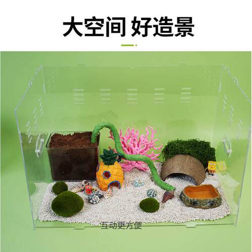 饲养盒爬饲养子鸡笼寄居蟹笼芦丁亚克宠力箱全透明仓鼠鸡窝芦丁