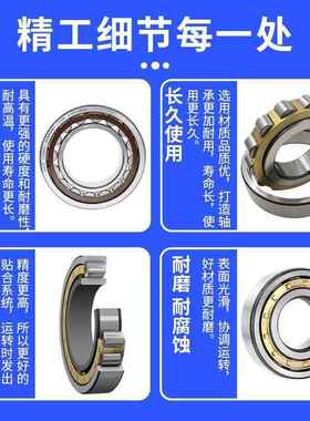 进口SKF轴承 RN 307 308 309 310 312 313 317 319 322 328 M